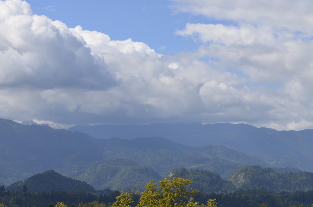 Grajski Dvor Radovljica Buitenkant foto