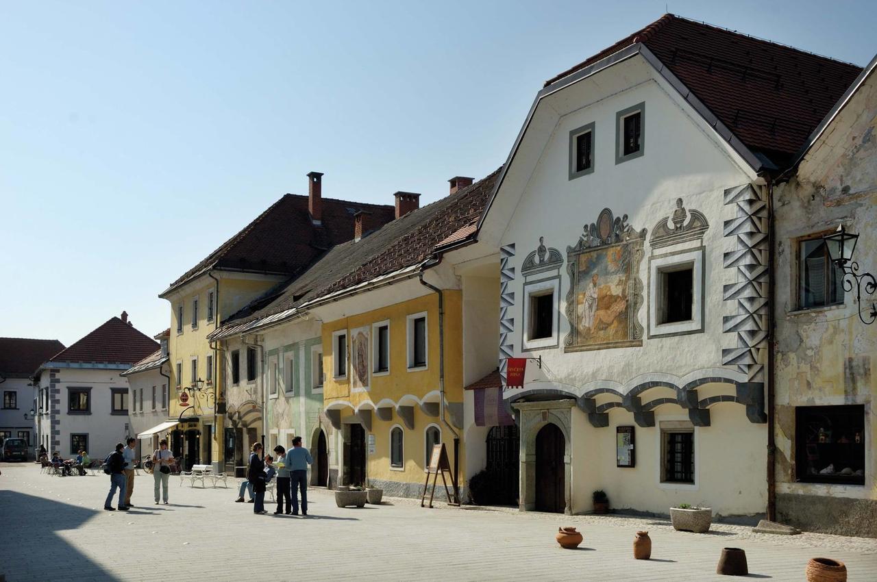 Grajski Dvor Radovljica Buitenkant foto
